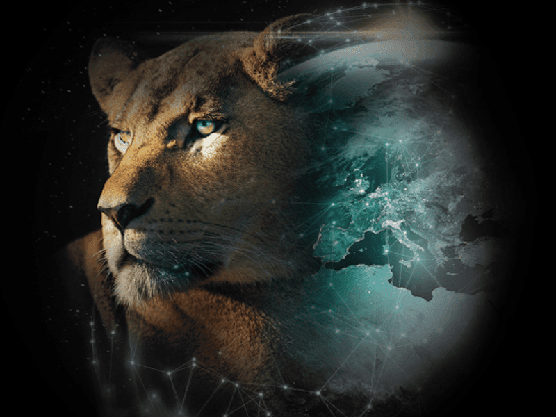 Liontrust 800x600 Cover