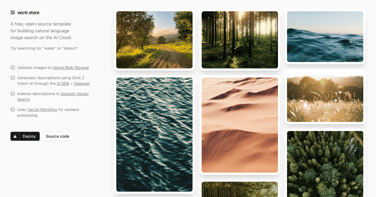 A screenshot of vectr.store
